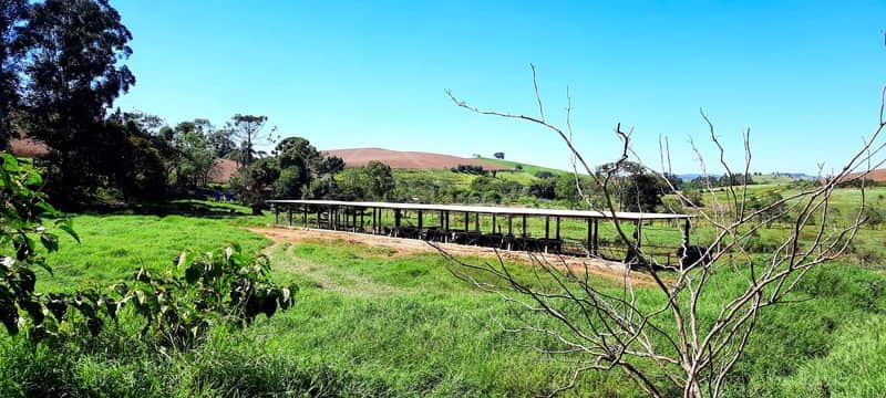Área externa rural com past