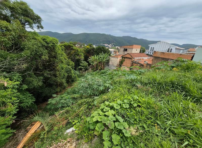Terreno com vegetação densa e casas ao fundo. Vista montanhosa e céu nublado.