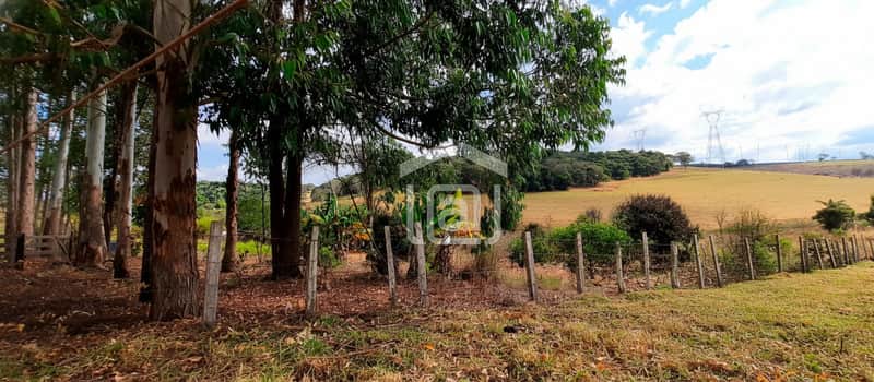 Área externa rural com cerca de madeira, árvores e campo aberto ao fundo em dia ensolarado.