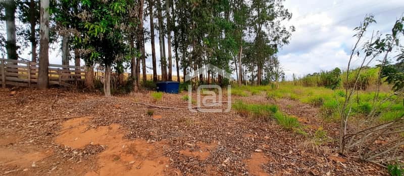 Área externa com terra avermelhada, árvores altas e vegetação rasteira. Tanque azul visível ao fundo.