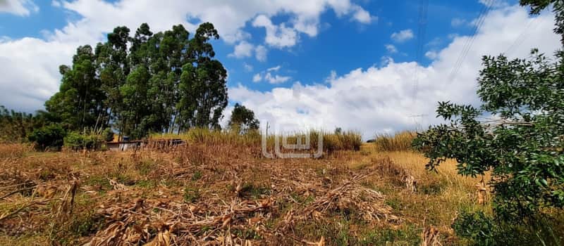 Terreno rural com vegetação seca e árvores ao fundo sob céu azul com nuvens.