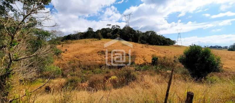 Terreno rural com pastagem seca e morros. Vegetação rasteira e árvores ao fundo. Torres de energia visíveis.