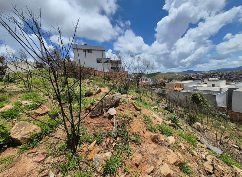 Terreno rochoso com vegetação rasteira, árvores secas e vista para casas e céu azul com nuvens.