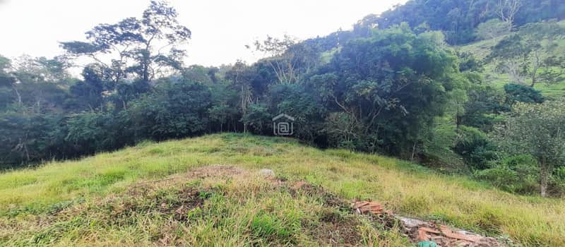 Terreno gramado com vegetação densa ao fundo. Área externa com árvores e montanhas.