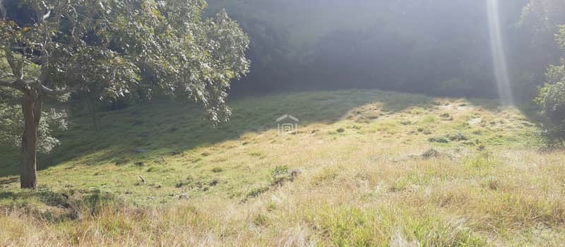 Área externa ensolarada com gramado irregular e árvores. Terreno em declive com vegetação rústica.