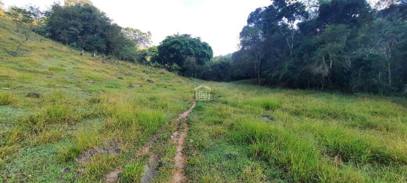 Área externa com gramado verde e trilha de terra. Vegetação densa ao fundo e morro à esquerda.
