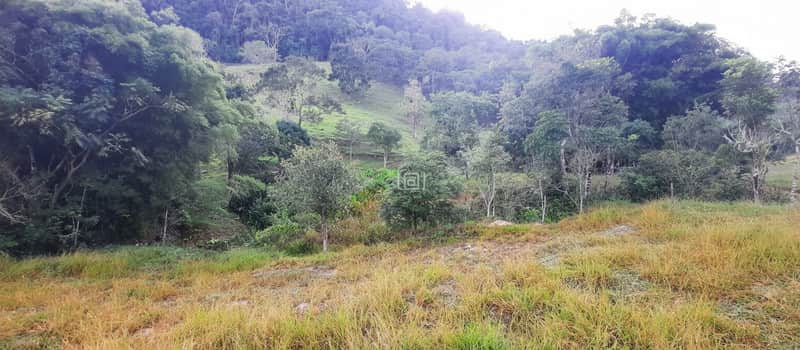 Área externa com gramado e vegetação densa. Vista para montanhas e árvores. Natureza exuberante.