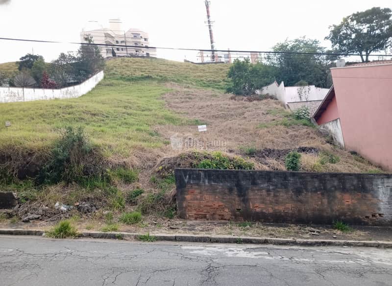 Terreno urbano em declive com vegetação rasteira e muro de arrimo. Construções ao fundo.