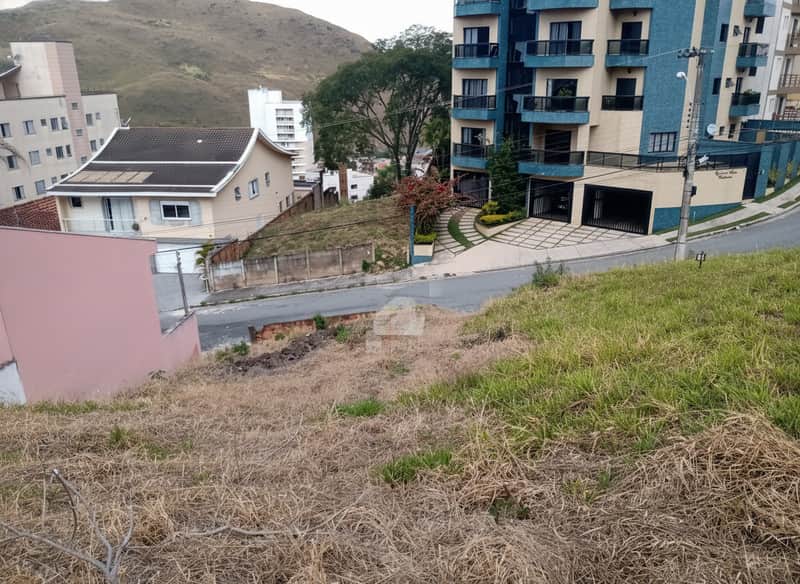Terreno em declive com vegetação rasteira. Ao fundo, casas e prédios em área urbana. Vista para a rua.