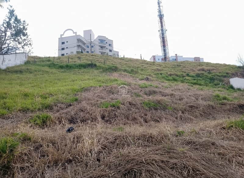 Terreno gramado com vegetação seca. Ao fundo, prédio branco e torre de telefonia.
