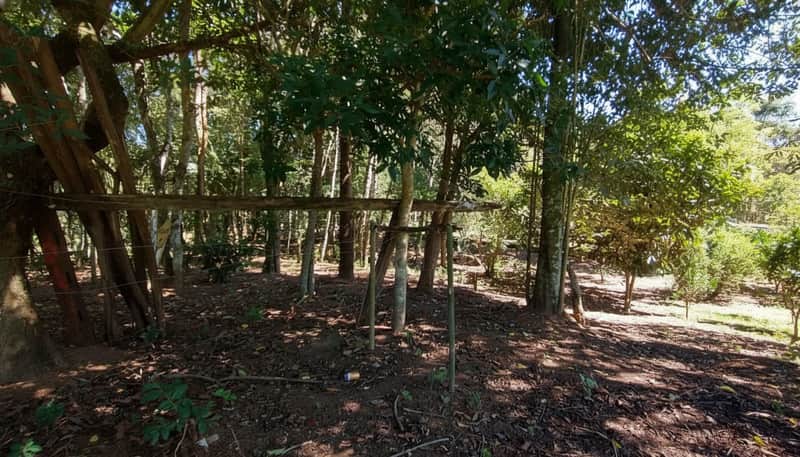 Área externa arborizada com cerca rústica de madeira. Vegetação densa e solo marrom.