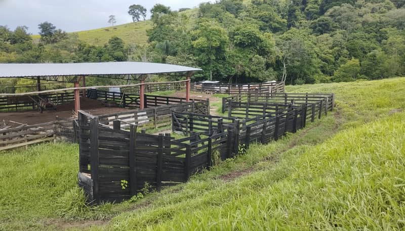 Área externa rural com curral de madeira escura e pasto verde. Construção metálica ao fundo.