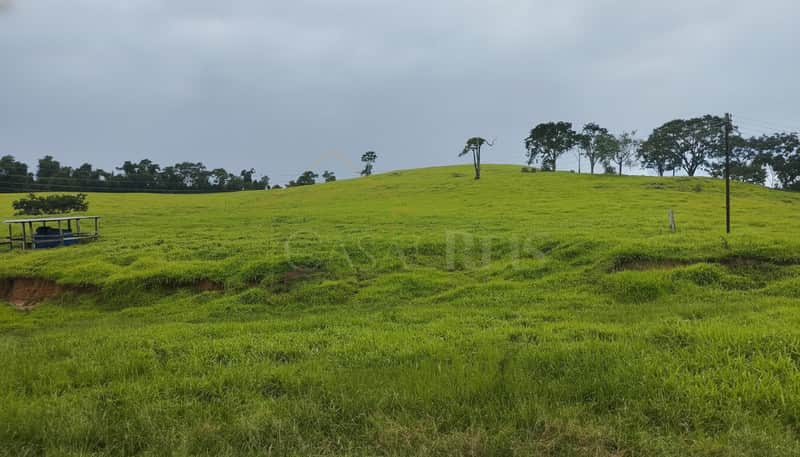 Área externa com gramado verde, árvores ao fundo e céu nublado. Paisagem campestre.