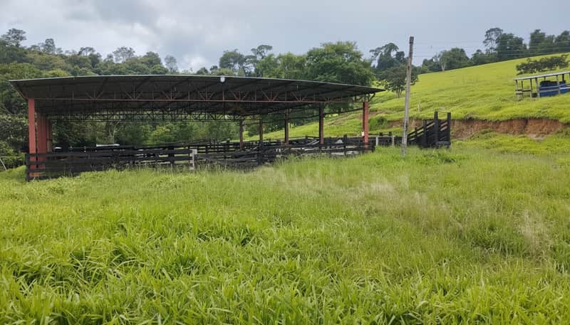 Área externa com curral coberto em fazenda. Gramado verde e colinas ao fundo. Estrutura metálica aparente.
