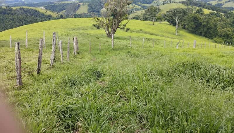 Área externa rural com pasto verde e cerca de madeira. Colinas e árvores ao fundo. Natureza exuberante.