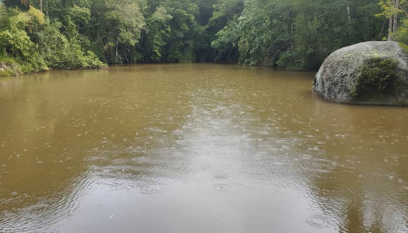Área externa com lagoa marrom e vegetação densa. Chuva caindo na água, grande pedra à direita.