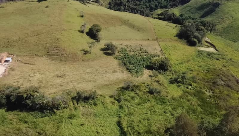 Área externa rural com pasto verde, árvores e casa simples ao fundo. Paisagem campestre ensolarada.