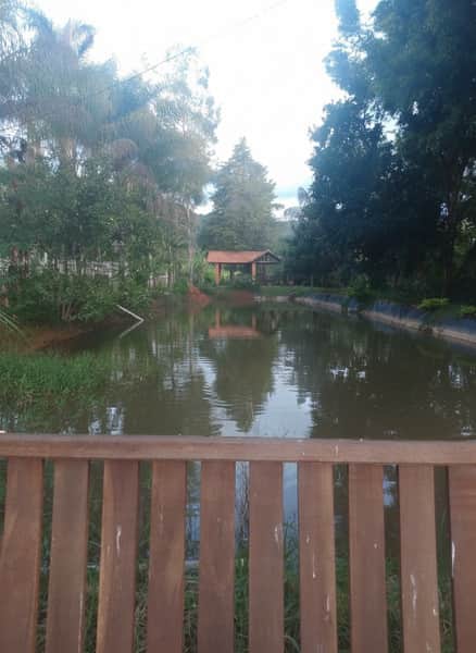 Área externa com lago calmo e vegetação exuberante. Chalé com telhado rústico ao fundo. Tranquilidade e natureza.