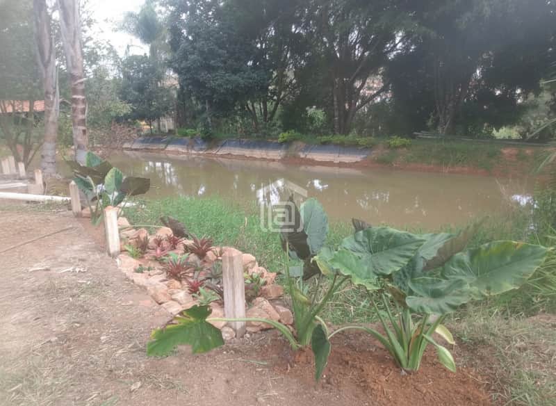 Área externa com lago, plantas ornamentais e pedras. Paisagem natural e relaxante.