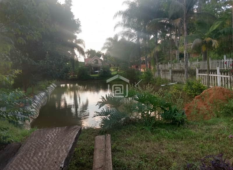 Área externa com lago, vegetação exuberante e casa ao fundo. Tranquilidade e natureza em um só lugar.