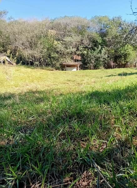 Área externa ensolarada com gramado verde e construção rústica ao fundo. Natureza exuberante.