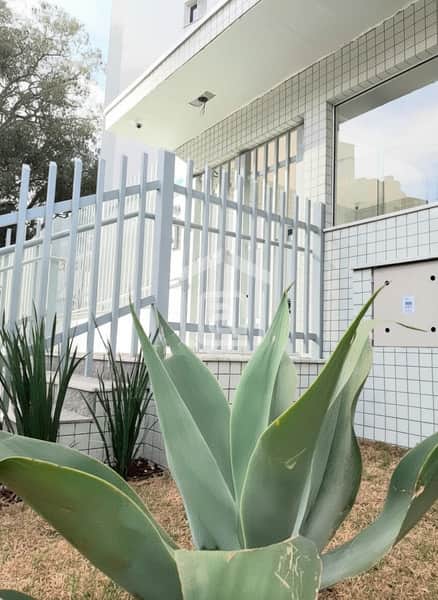 Fachada de prédio com cerca branca, revestimento em azulejo e planta ornamental verde em primeiro plano.
