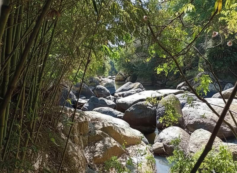 Rio com pedras grandes e vegetação exuberante. Paisagem natural com bambus e árvores.
