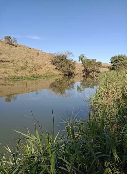 Paisagem rural com lago calmo, vegetação rasteira e morro ao fundo sob céu azul.