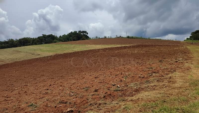 Terreno arado em área externa rural. Solo fértil, terra avermelhada e vegetação ao fundo sob céu nublado.