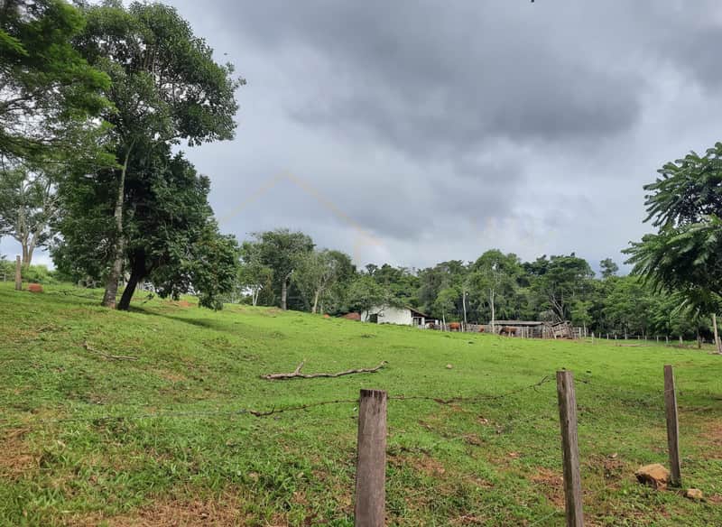 Área externa rural com pasto verde, árvores e casa ao fundo sob céu nublado. Cerca de madeira em primeiro plano.