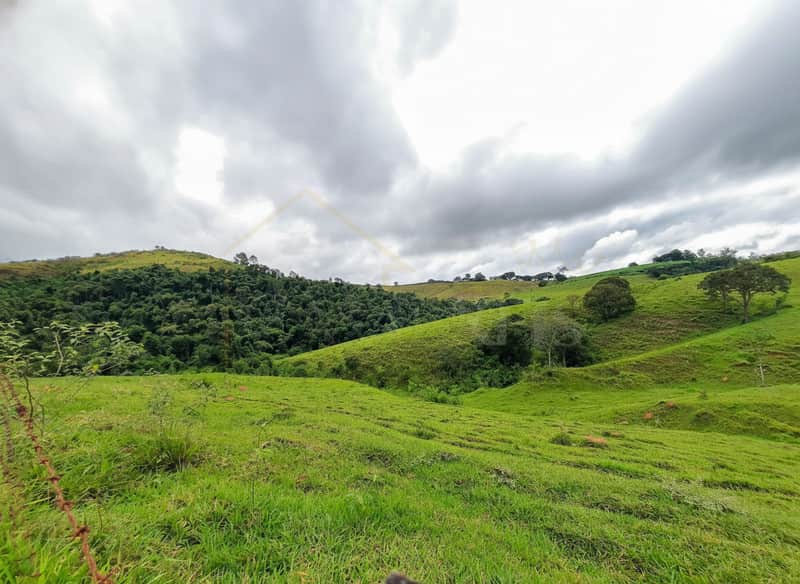 Paisagem rural com colinas verdes e céu nublado. Natureza exuberante, pastagem vasta.