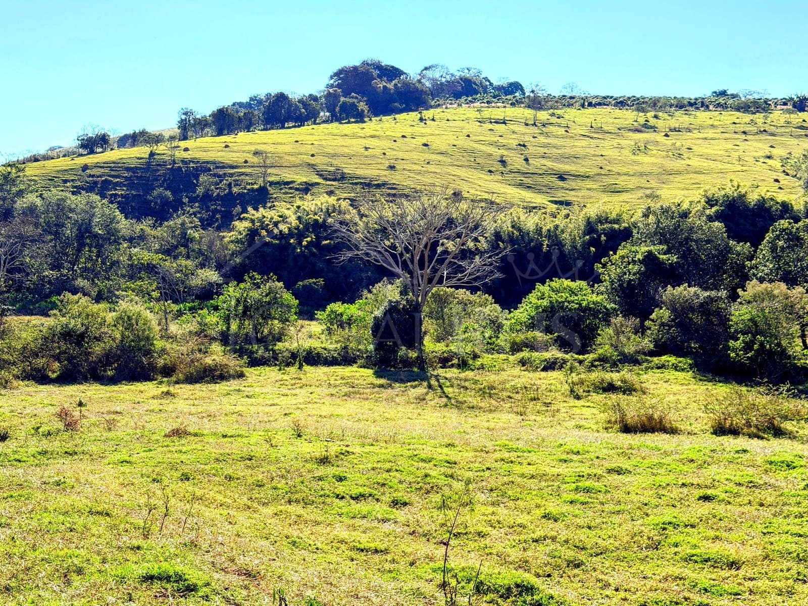 Ampla área externa com