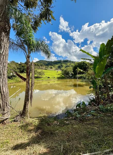 Área externa com lago, árvores e reflexo do céu azul com nuvens na água.