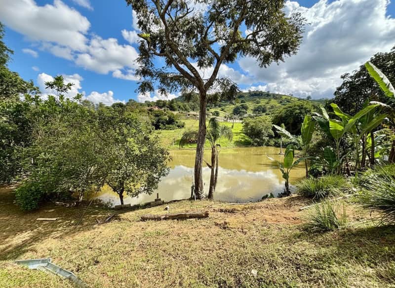 Área externa com lago calmo, árvores frondosas e gramado. Céu azul com nuvens brancas.
