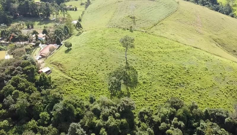 Paisagem rural com colinas verdejantes, árvores isoladas e vegetação densa. Cenário natural exuberante.