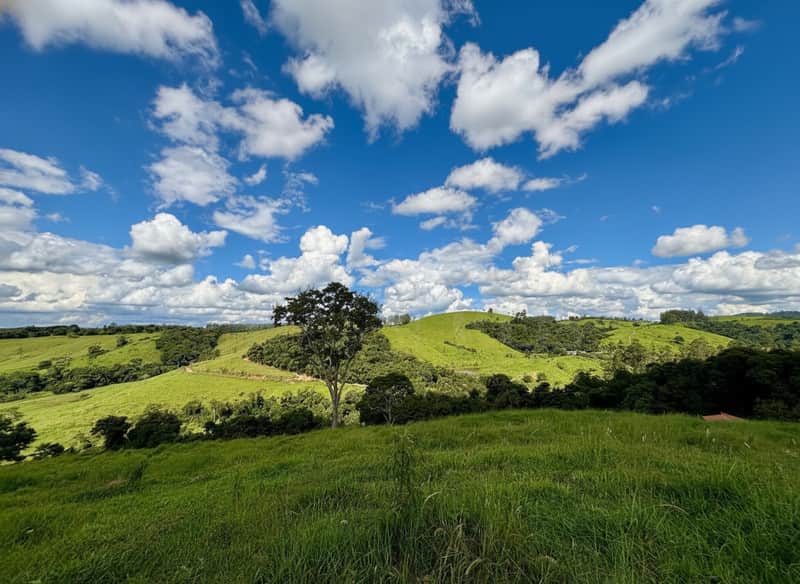 Paisagem rural ensolarada, colinas verdejantes e céu azul com nuvens brancas. Natureza exuberante.
