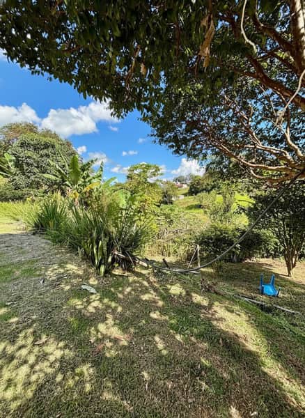 Área externa ensolarada com gramado, vegetação tropical e céu azul com nuvens. Paisagem natural exuberante.