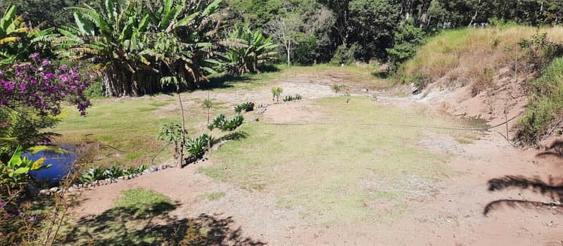 Área externa ensolarada com gramado, lago, vegetação tropical e vista para a natureza. Paisagem exuberante e relaxante.