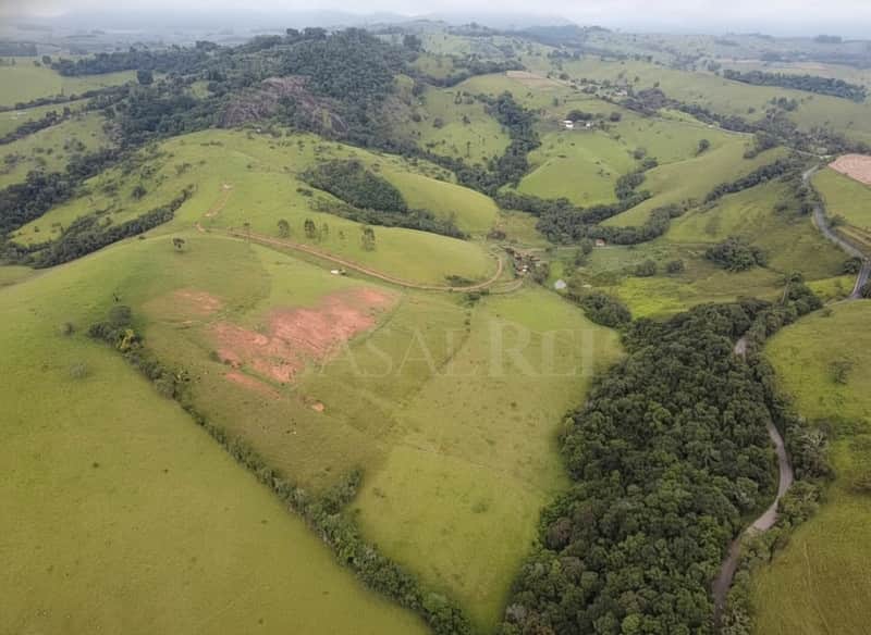 Paisagem rural com colinas verdes, pastagens e área de mata densa. Estrada sinuosa corta a vegetação.