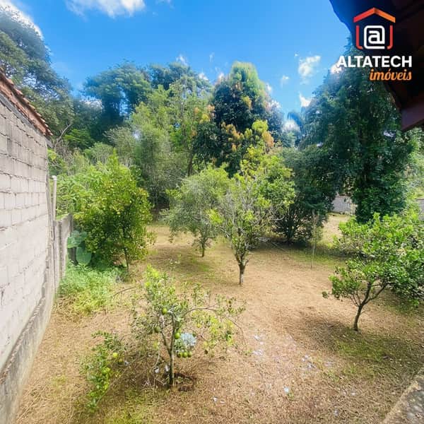 Área externa com gramado seco e árvores frutíferas. Muro de tijolos à esquerda. Céu azul.