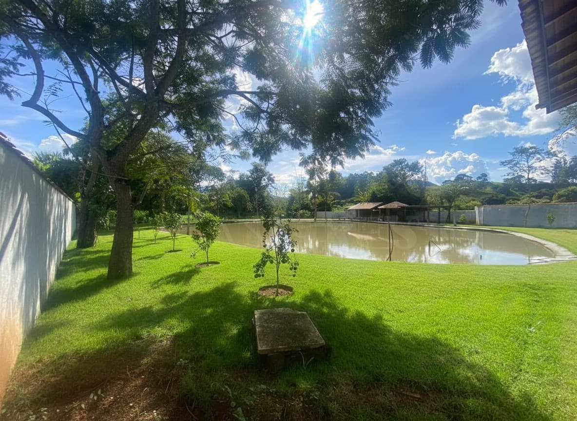 Área externa ensolarada com lago, gramado verde e árvores. Tranquilidade e beleza natural.