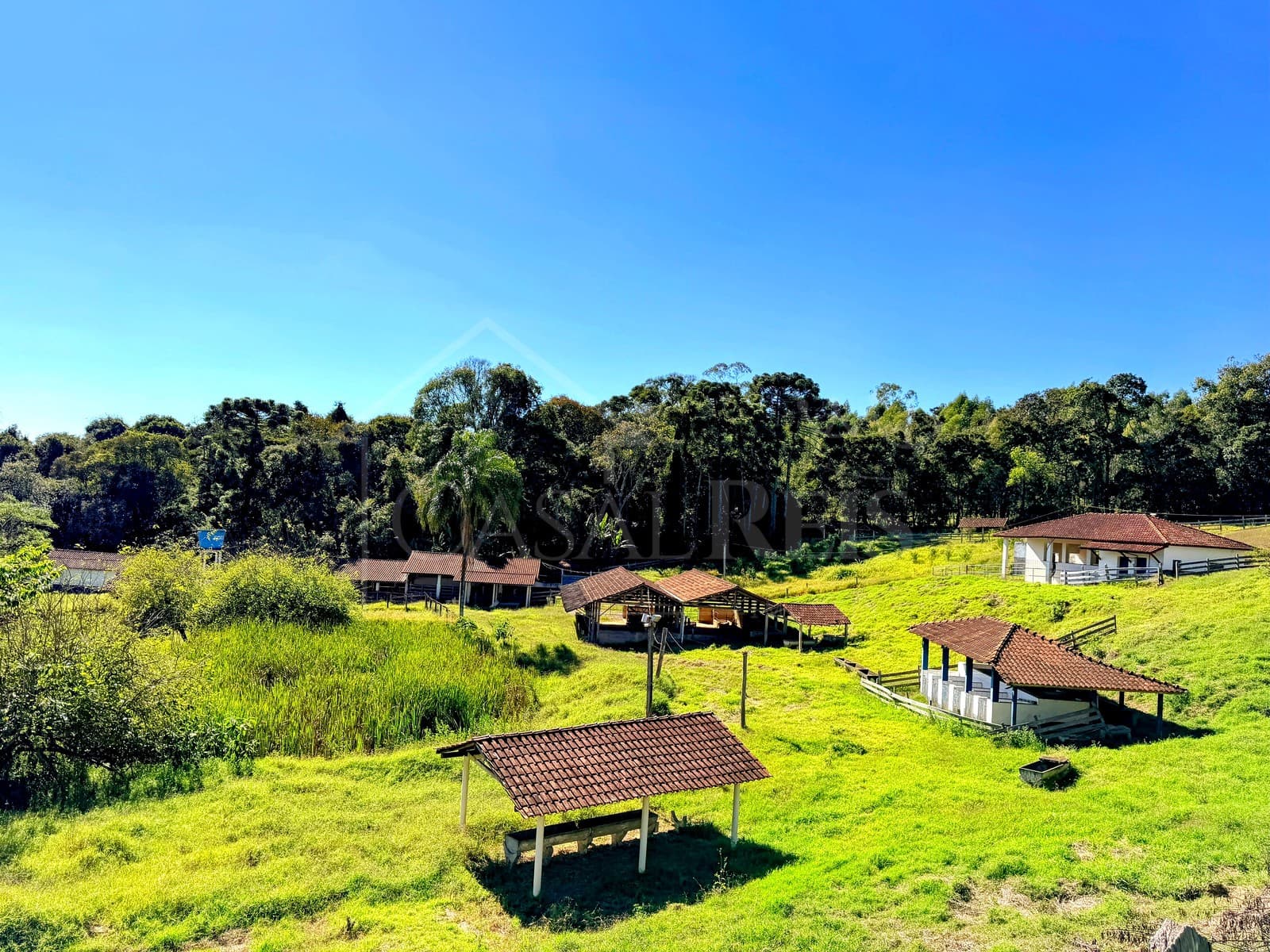 Área externa de sítio