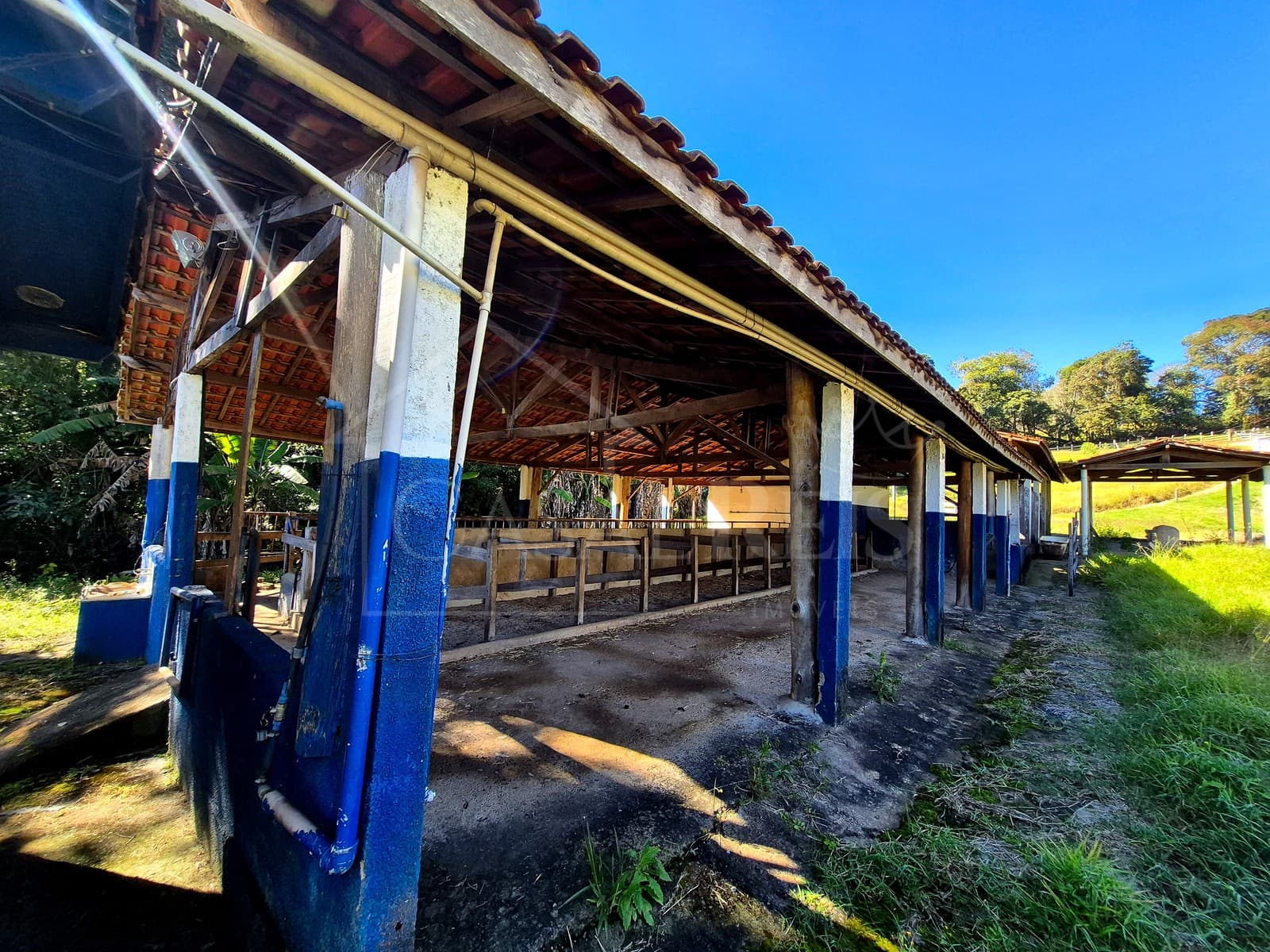 Área externa de gal